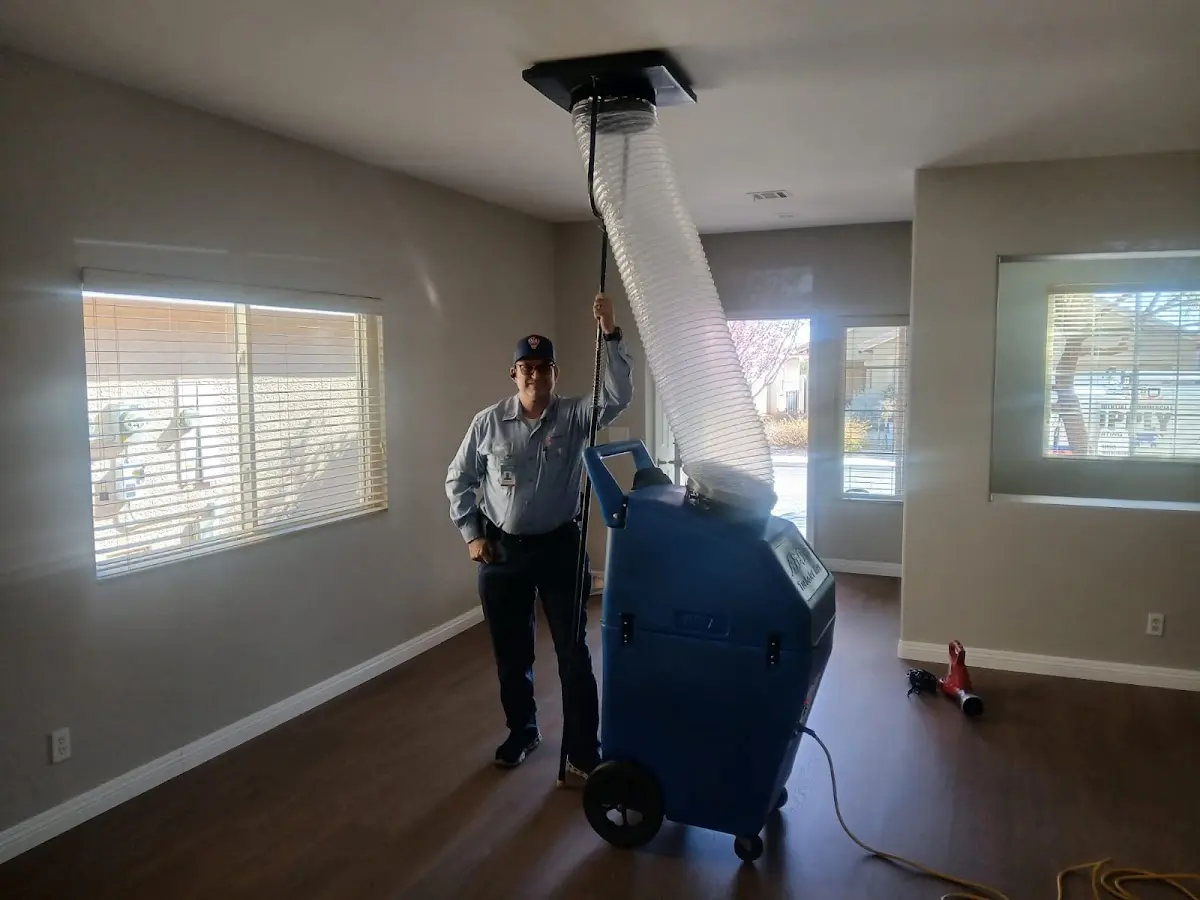 Professional Dryer Vent Cleaning work inside a Woodland home